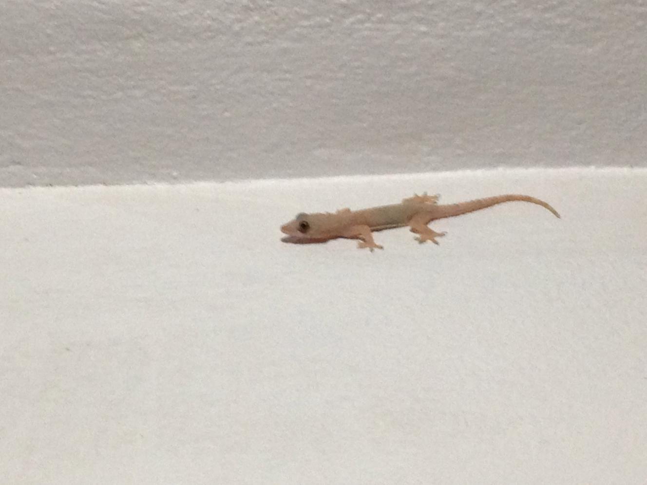 Name: image.jpg
Views: 926
Size: 92.1 KB