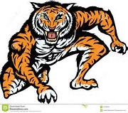 Name:  tigerpounce.jpg
Views: 206
Size:  20.3 KB