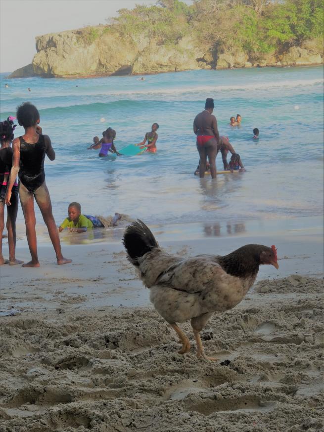 Name: DSC05707.jpg
Views: 12598
Size: 96.0 KB