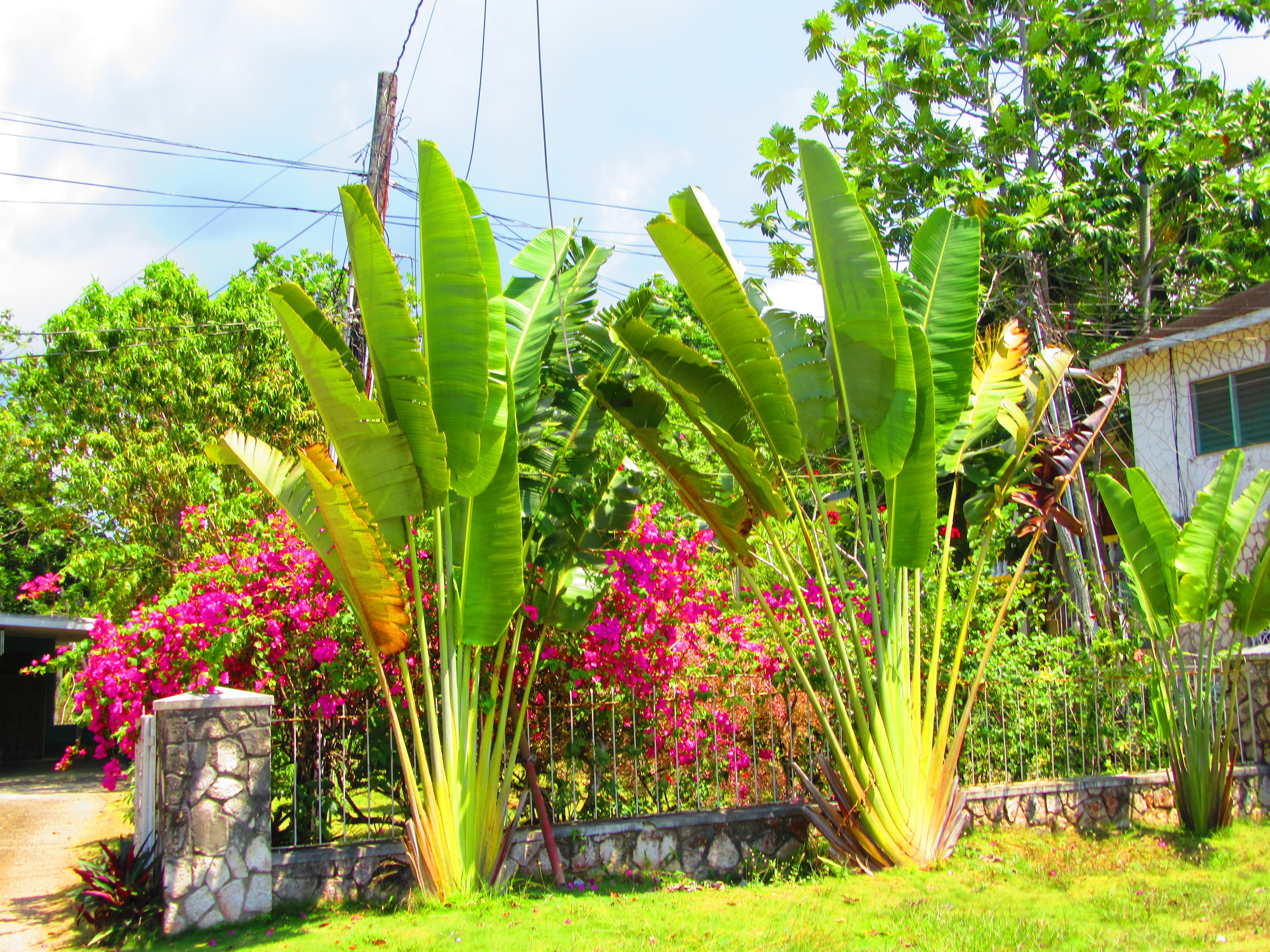 Name:  IMG_0392.JPG
Views: 1758
Size:  7.62 MB