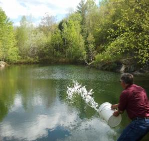 Name: fish.jpg
Views: 668
Size: 18.4 KB