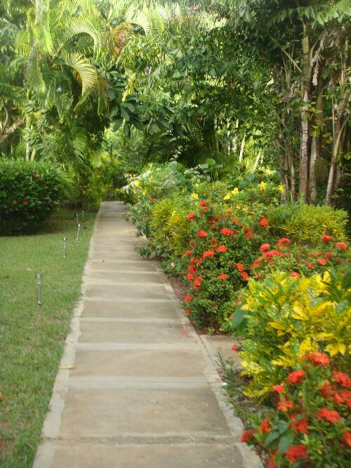 Click image for larger version.
Name: Angies photos Jamaica 2010 161.jpg
Views: 628
Size: 79.0 KB
ID: 2896