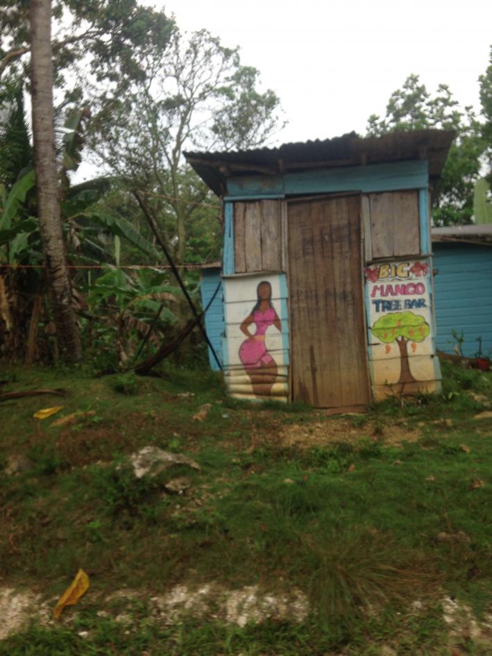 Name: Big Mango Tree Bar.jpg
Views: 431
Size: 91.8 KB