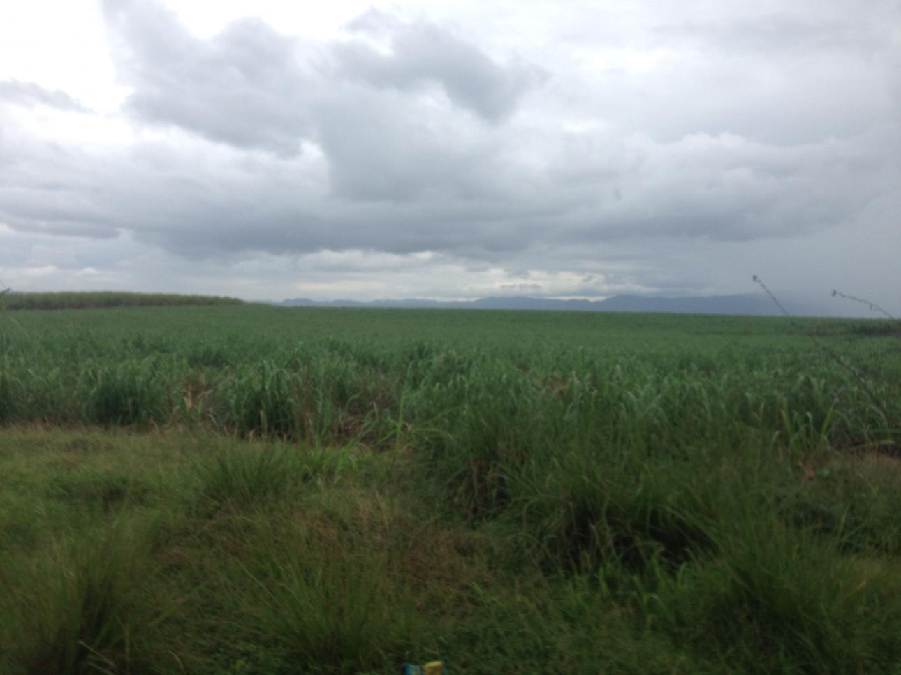 Name: Jamaica countryside near Little London.jpg
Views: 435
Size: 81.6 KB