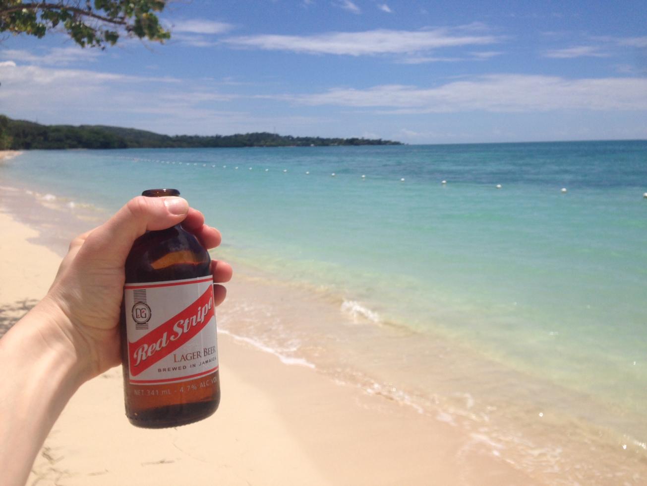 Name: Bluefields Blazing.jpg
Views: 433
Size: 81.2 KB