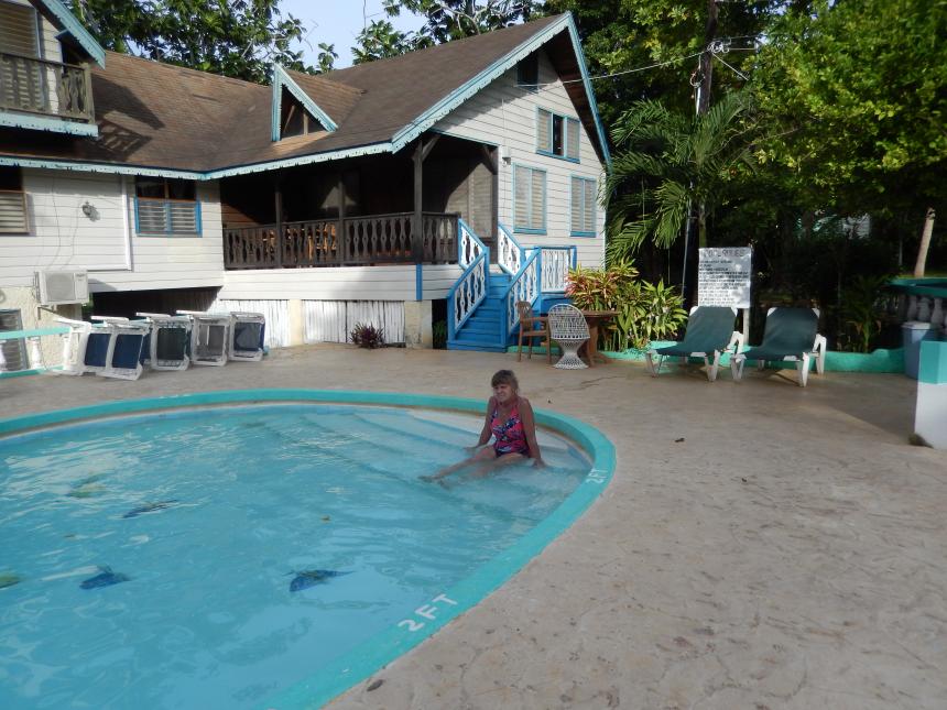 Name: DSCN1154.jpg
Views: 891
Size: 96.5 KB