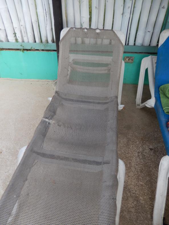 Name: DSCN1342.jpg
Views: 868
Size: 96.9 KB