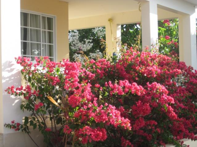 Name: 091.jpg
Views: 476
Size: 56.6 KB