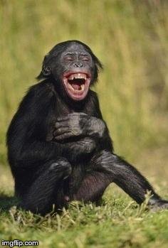 Name:  laughing chimp.jpg
Views: 480
Size:  14.9 KB