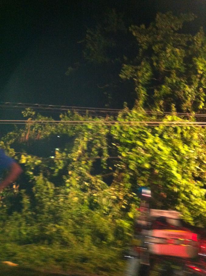 Name:  IMG_0133.jpg
Views: 949
Size:  95.5 KB