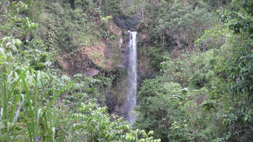 Name:  Waterfall.jpg
Views: 1715
Size:  104.4 KB