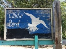 Name:  Whitebird.jpg
Views: 733
Size:  33.7 KB