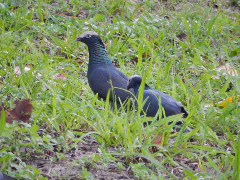 Name: DSCN0986.jpg
Views: 390
Size: 99.3 KB