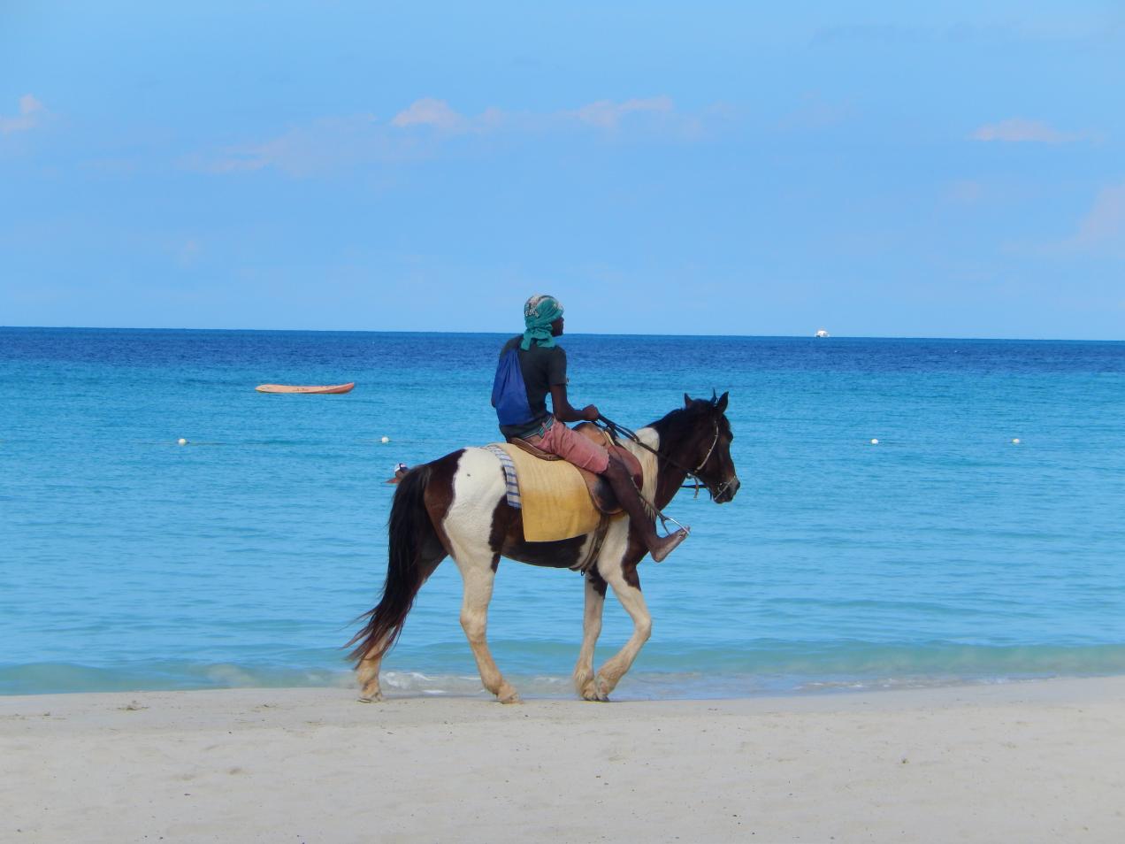 Name: DSCN1024.jpg
Views: 406
Size: 88.4 KB