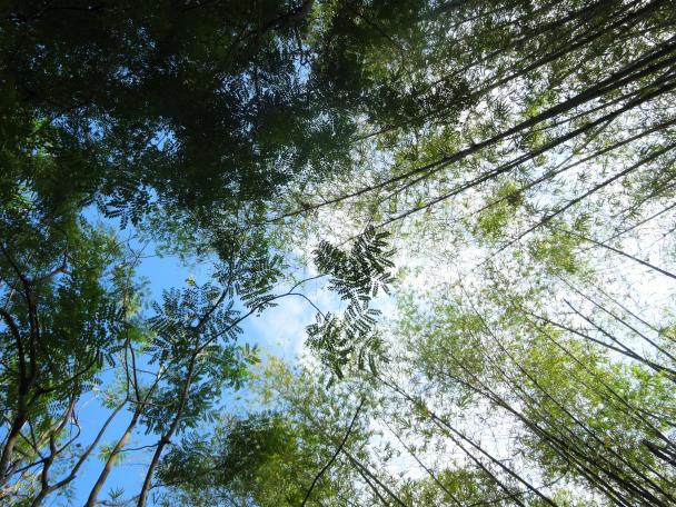 Name: DSC03464.jpg
Views: 1983
Size: 97.5 KB