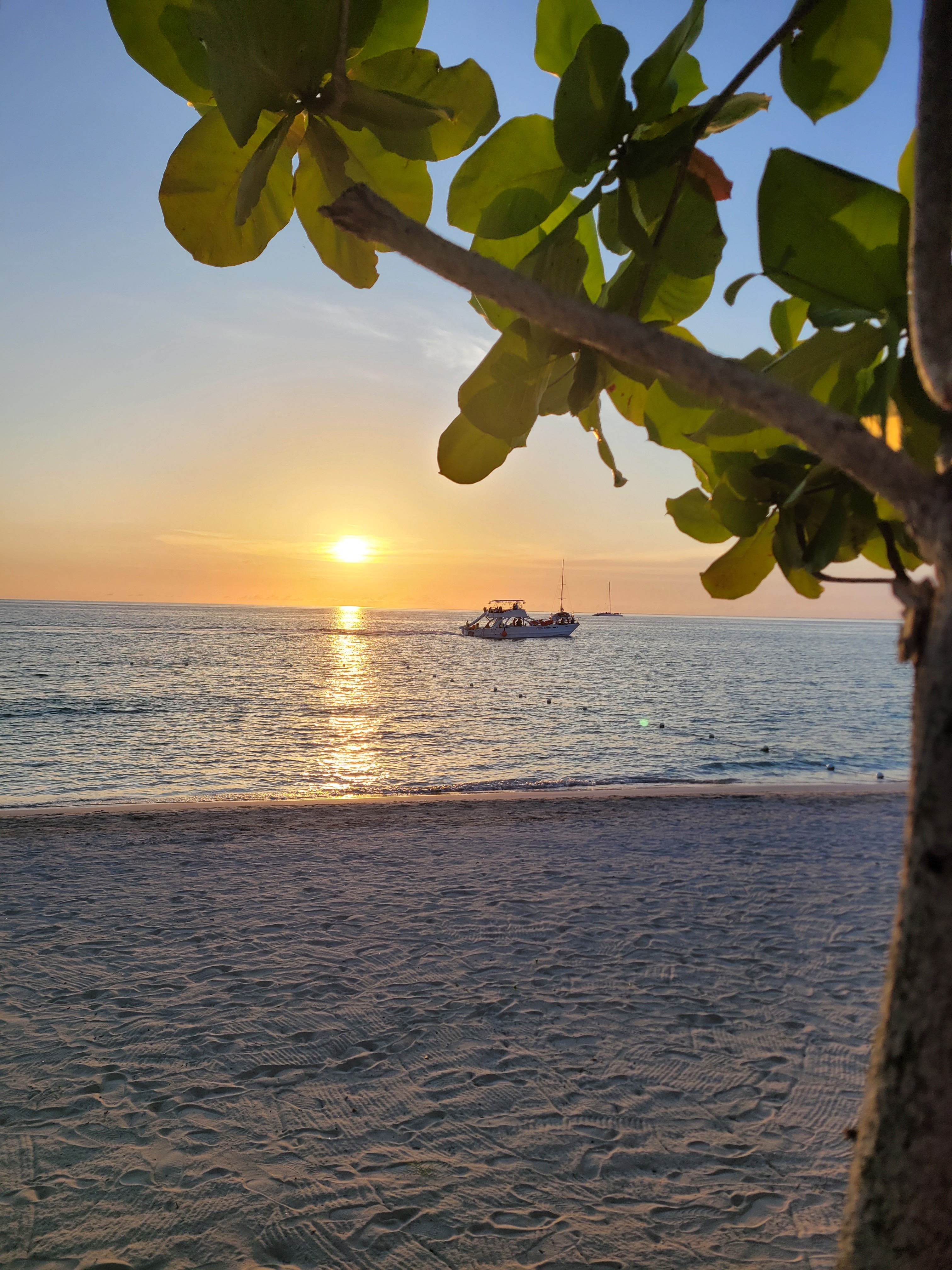 Name: 20240508_181952.jpg
Views: 859
Size: 2.36 MB