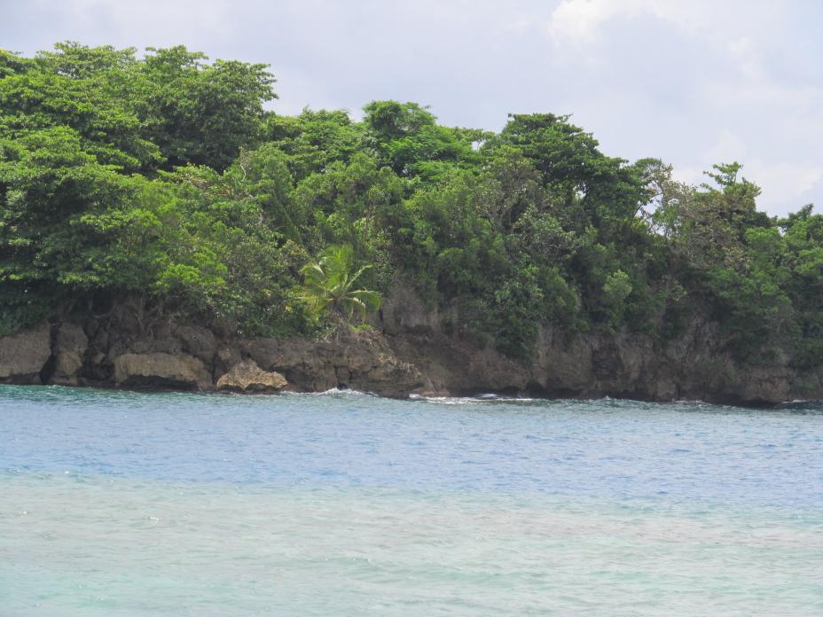 Name: navy2.jpg
Views: 761
Size: 95.9 KB