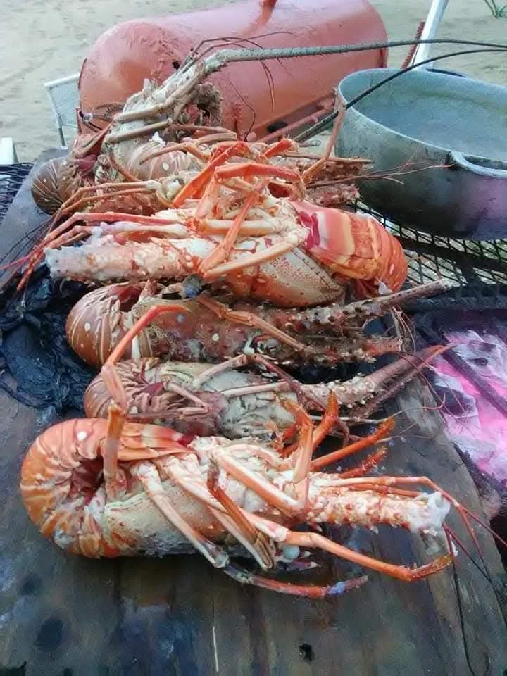 Name: FB_IMG_1739449515613.jpg
Views: 264
Size: 86.6 KB