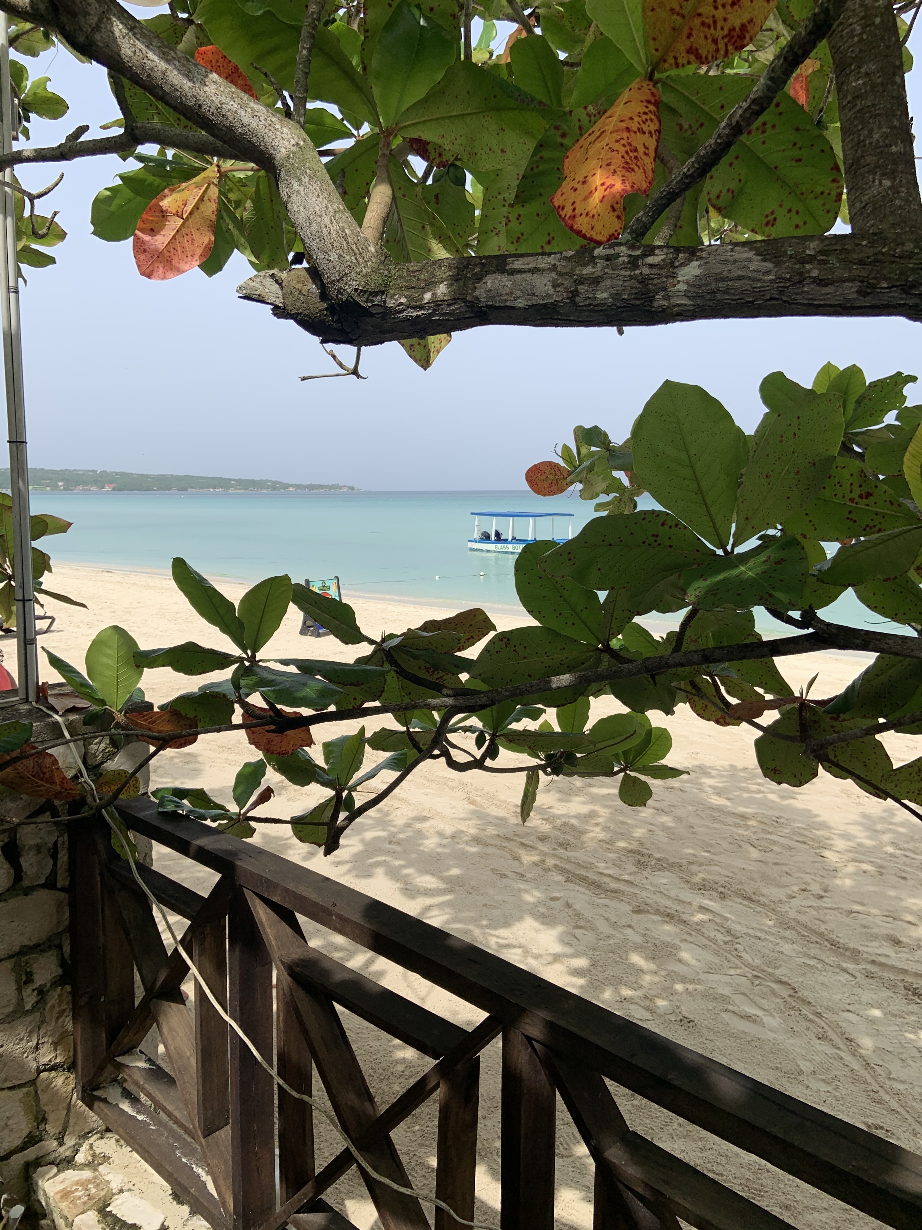 Name: IMG_3071.jpg
Views: 1616
Size: 2.69 MB