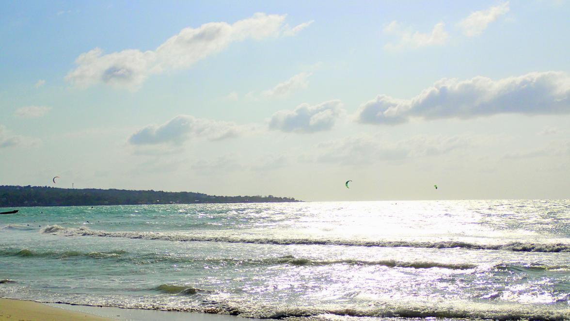 Name:  P2100685 (2).jpg
Views: 1183
Size:  96.8 KB