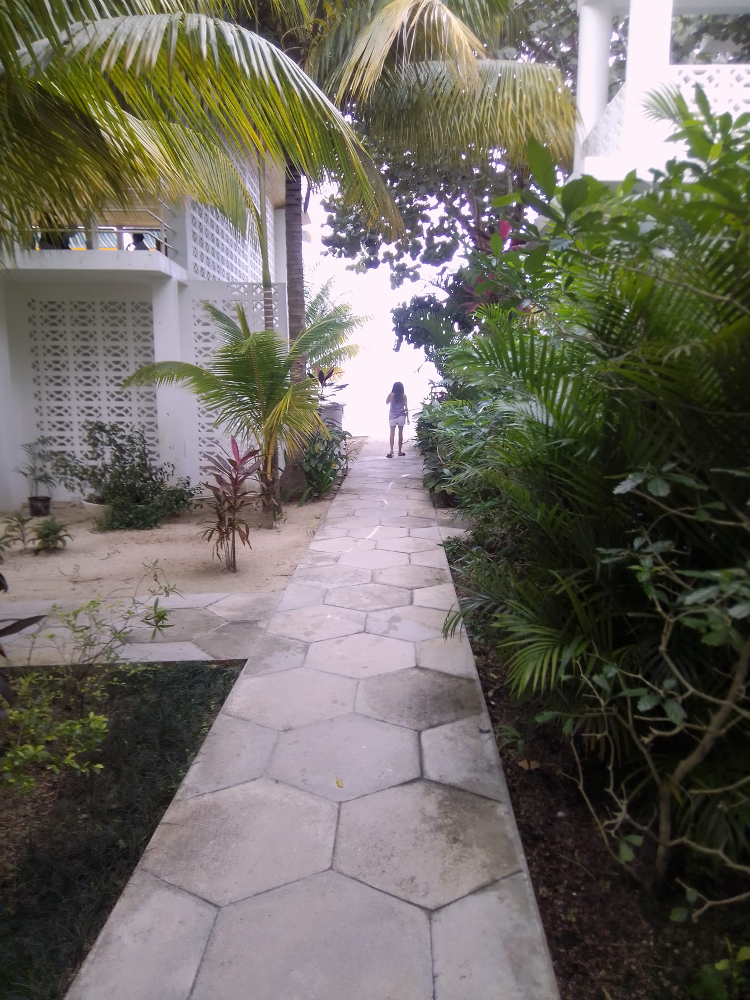 Name:  Barbara2.jpg
Views: 917
Size:  375.9 KB