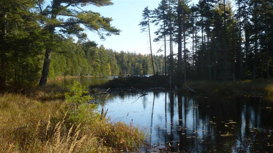 Name:  Otter Lake (Large).jpg
Views: 439
Size:  98.8 KB