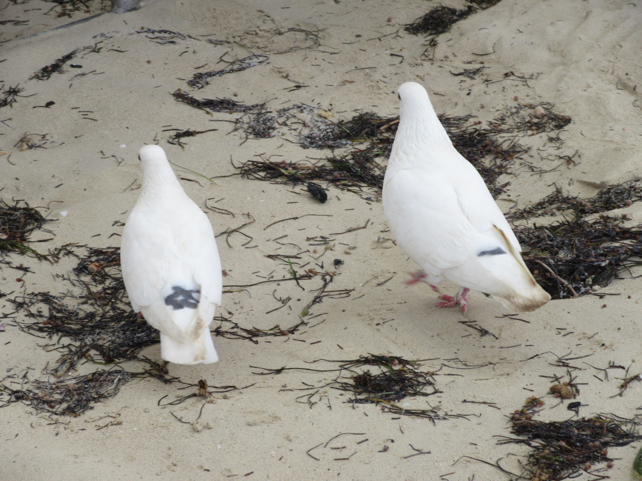 Name:  20180104122643.JPG
Views: 842
Size:  893.4 KB