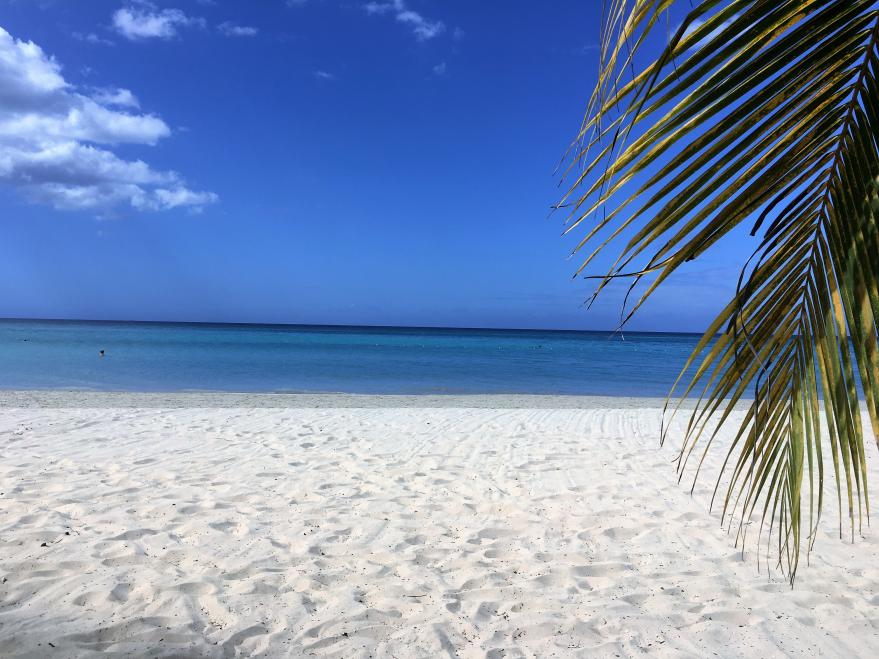 Name: IMG_5784.jpg
Views: 655
Size: 95.7 KB