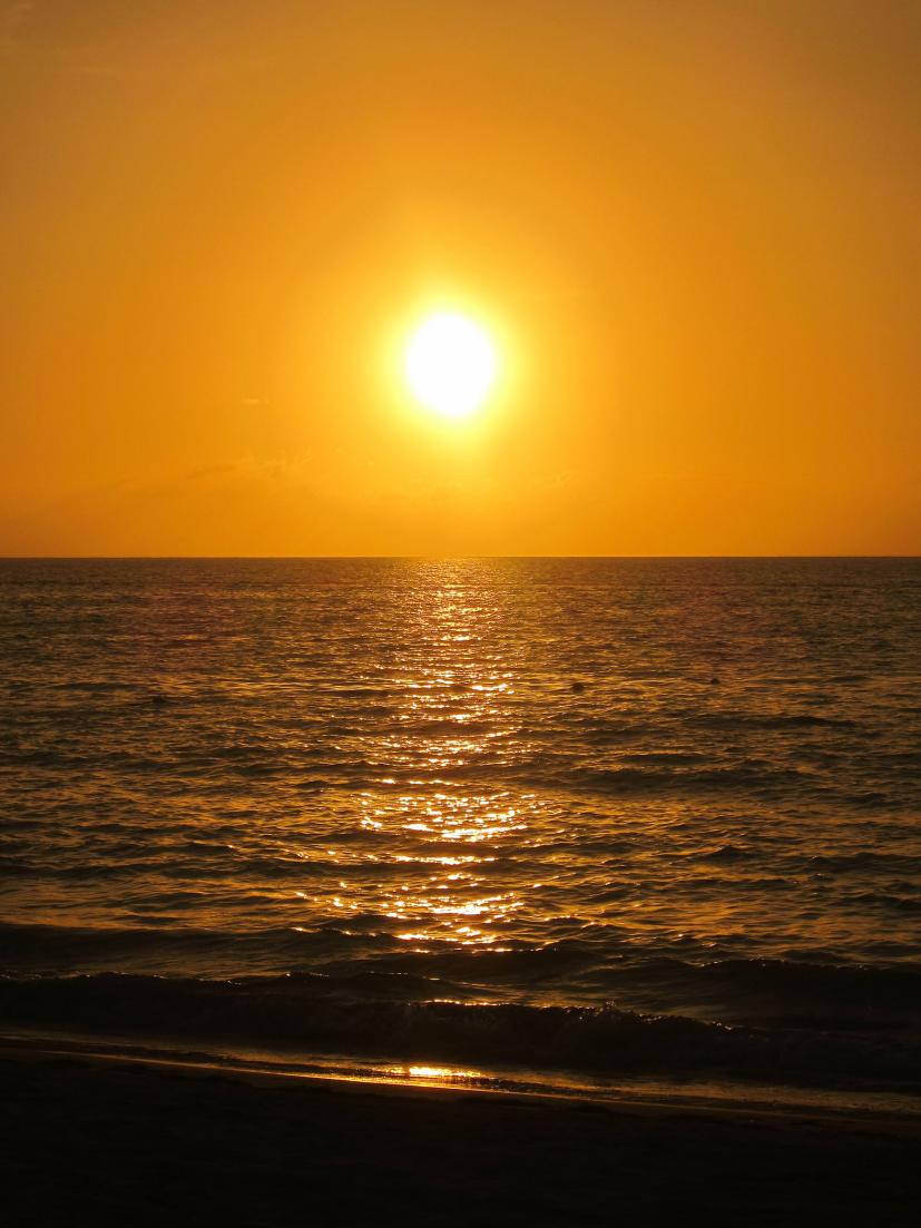Name:  062.jpg
Views: 707
Size:  93.0 KB