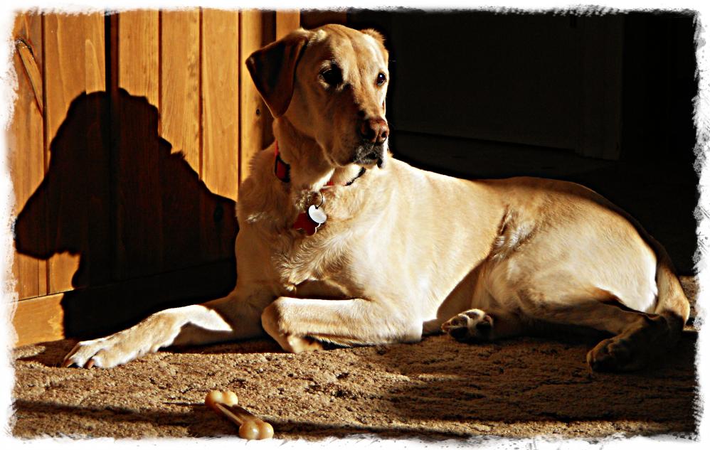 Name:  image.jpg
Views: 3033
Size:  97.2 KB