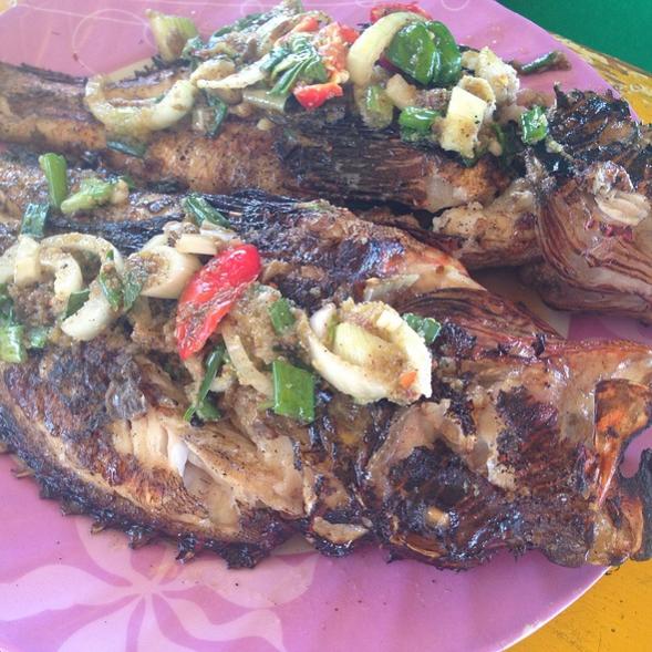 Name:  Jerk Lionfish at Little Ochie.jpg
Views: 735
Size:  73.3 KB