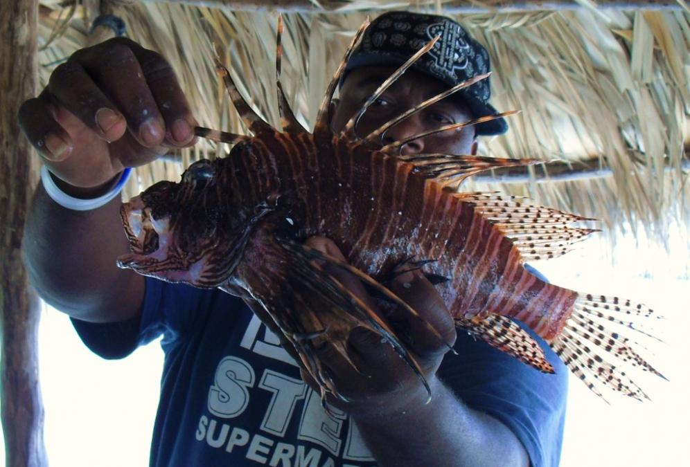 Name:  Lion Fish 2.jpg
Views: 470
Size:  93.6 KB