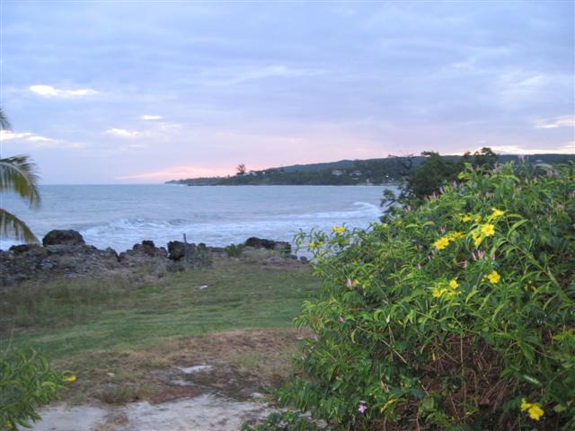 Click image for larger version. 

Name:	Jamaica June 2011 - 294 (Small).jpg 
Views:	545 
Size:	50.4 KB 
ID:	2423