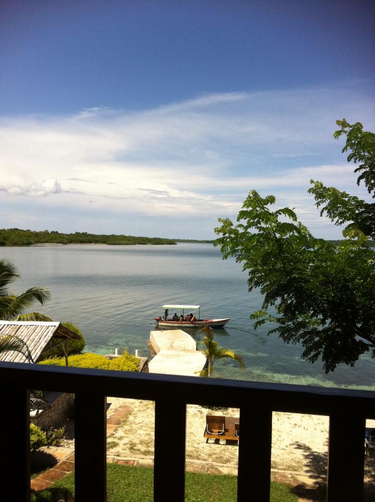 Name:  IMG_0137.jpg
Views: 1692
Size:  94.9 KB