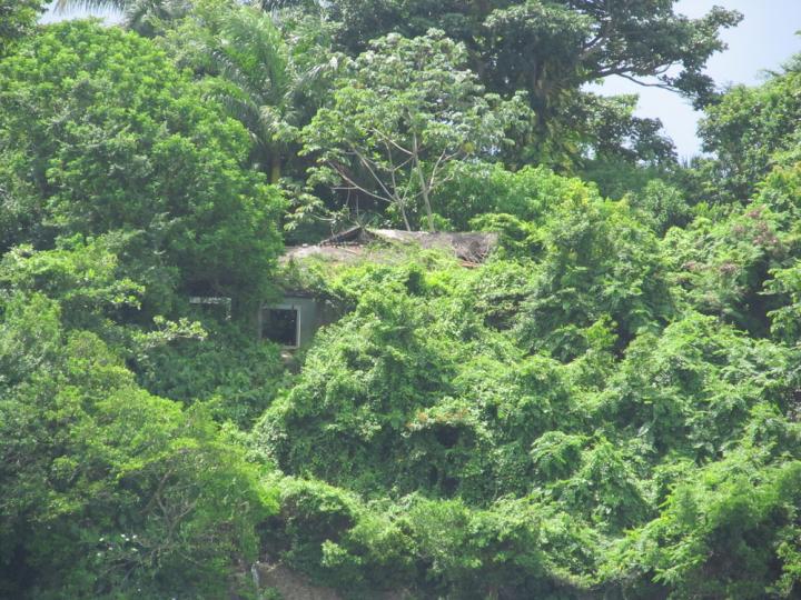 Name:  navy1.jpg
Views: 697
Size:  100.6 KB