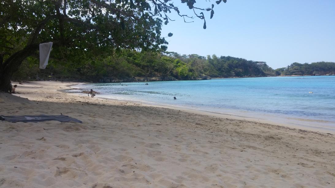 Name:  0225171412a.jpg
Views: 5516
Size:  97.7 KB