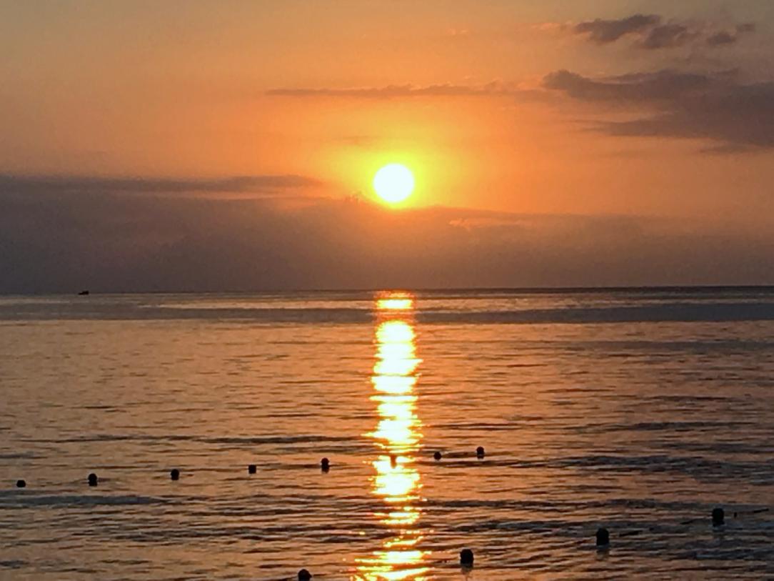 Name: IMG_6091.jpg
Views: 625
Size: 85.4 KB