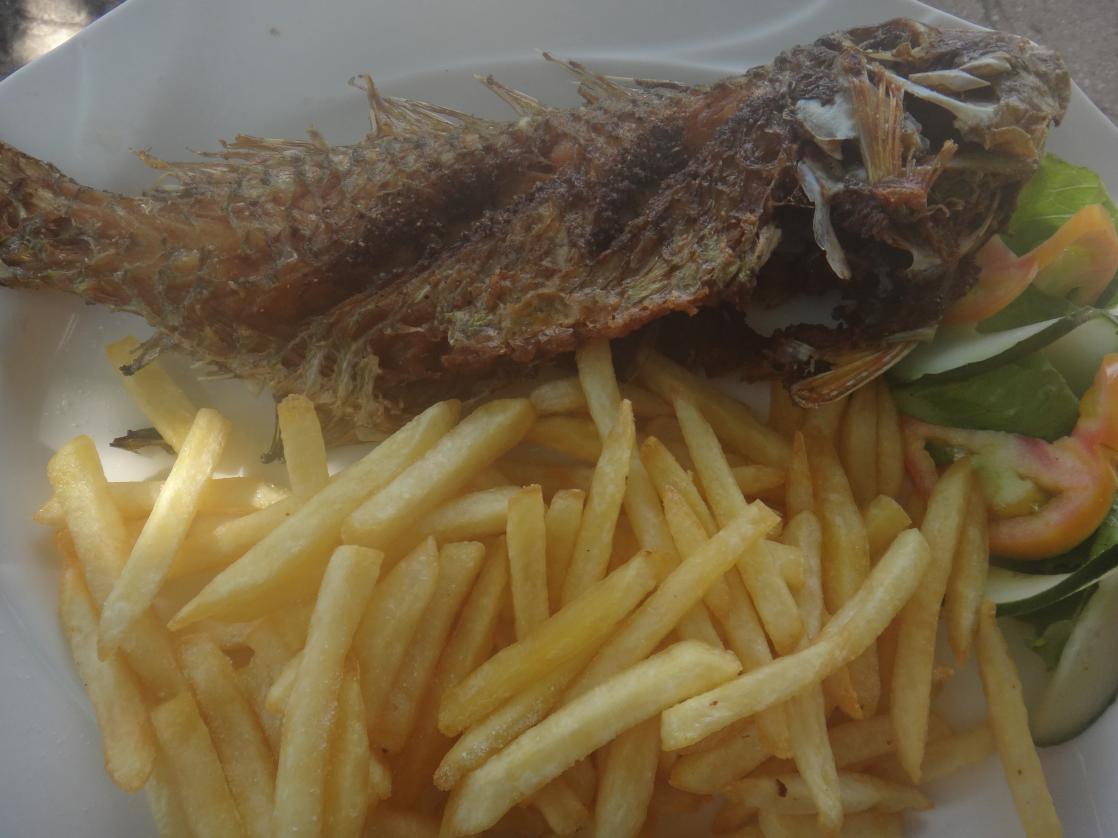 Name: 394.jpg
Views: 1068
Size: 86.6 KB