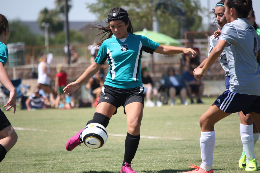 Name: IMG_8198.jpg
Views: 425
Size: 92.5 KB