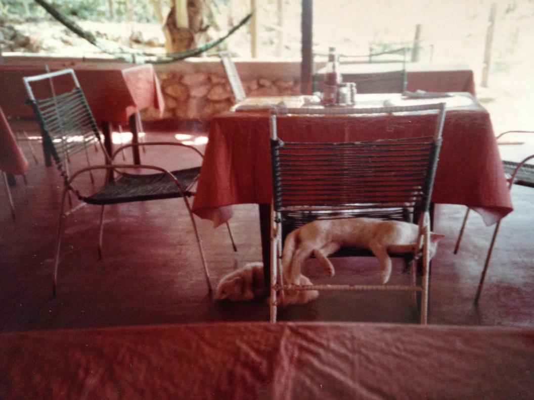 Name: mariner copy.jpg
Views: 1428
Size: 89.6 KB