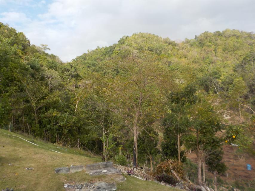 Name: DSCN0578.jpg
Views: 421
Size: 97.0 KB