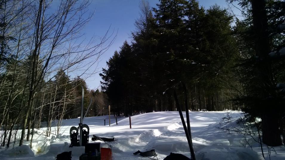 Name: IMG_20160214_130321394.jpg
Views: 222
Size: 100.4 KB