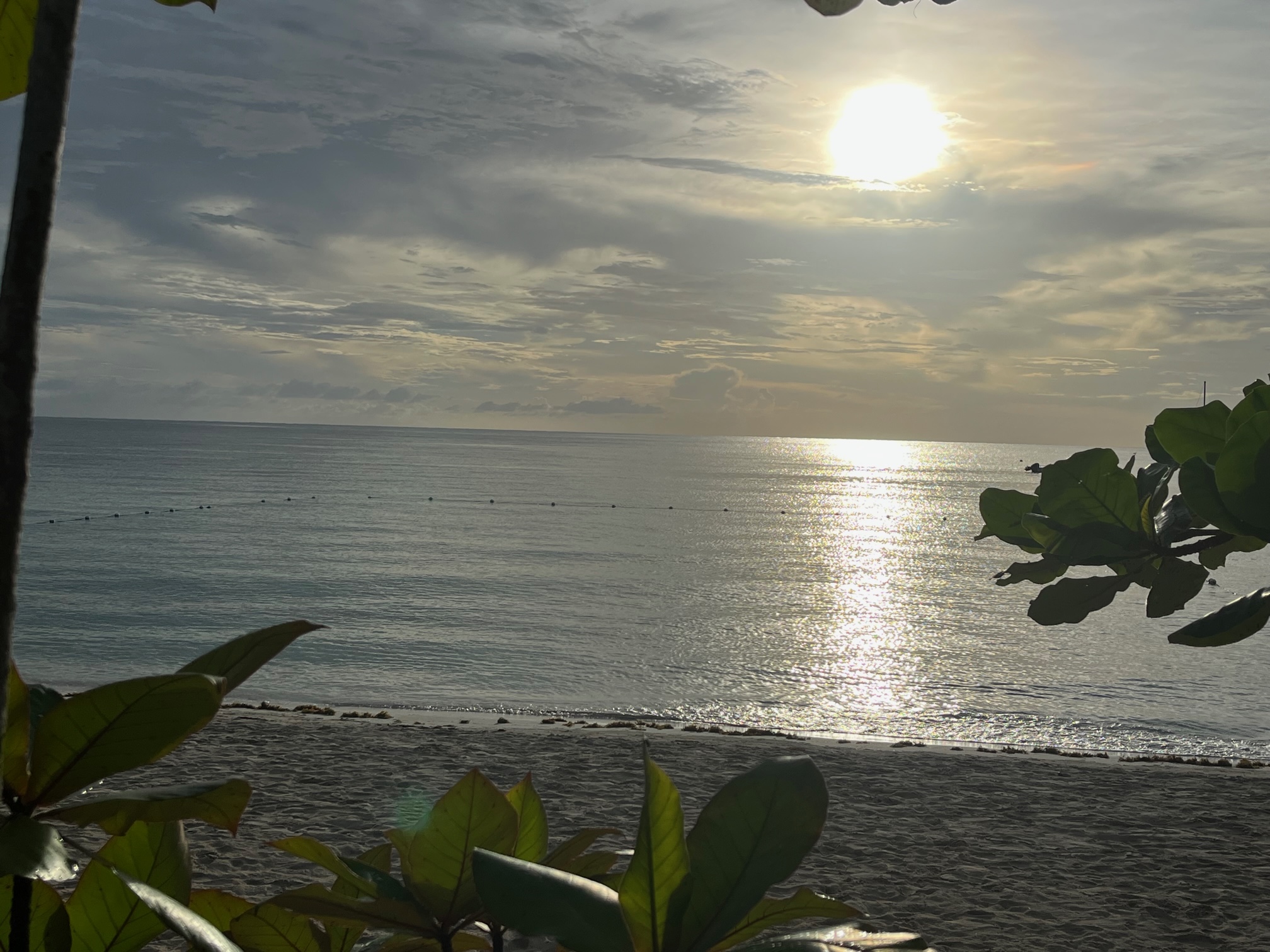 Name: Sunset.jpeg
Views: 1824
Size: 897.7 KB