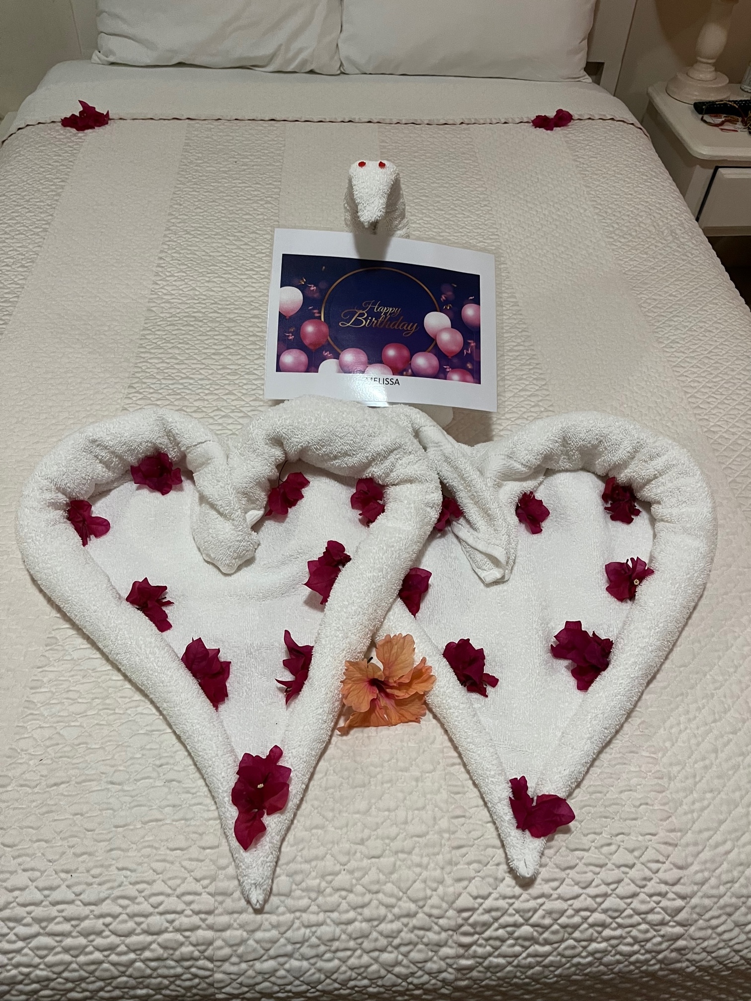 Name: Birthday Bed.jpg
Views: 981
Size: 1.18 MB