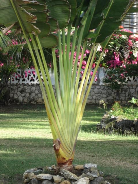 Name: 102.jpg
Views: 453
Size: 60.4 KB