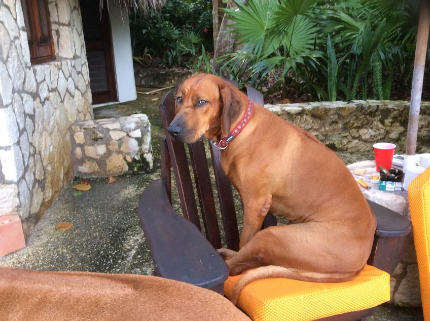 Name: image.jpg
Views: 961
Size: 96.6 KB