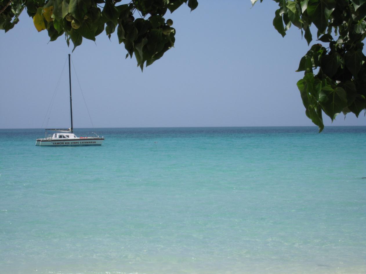 Name: IMG_0079.jpg
Views: 649
Size: 85.4 KB