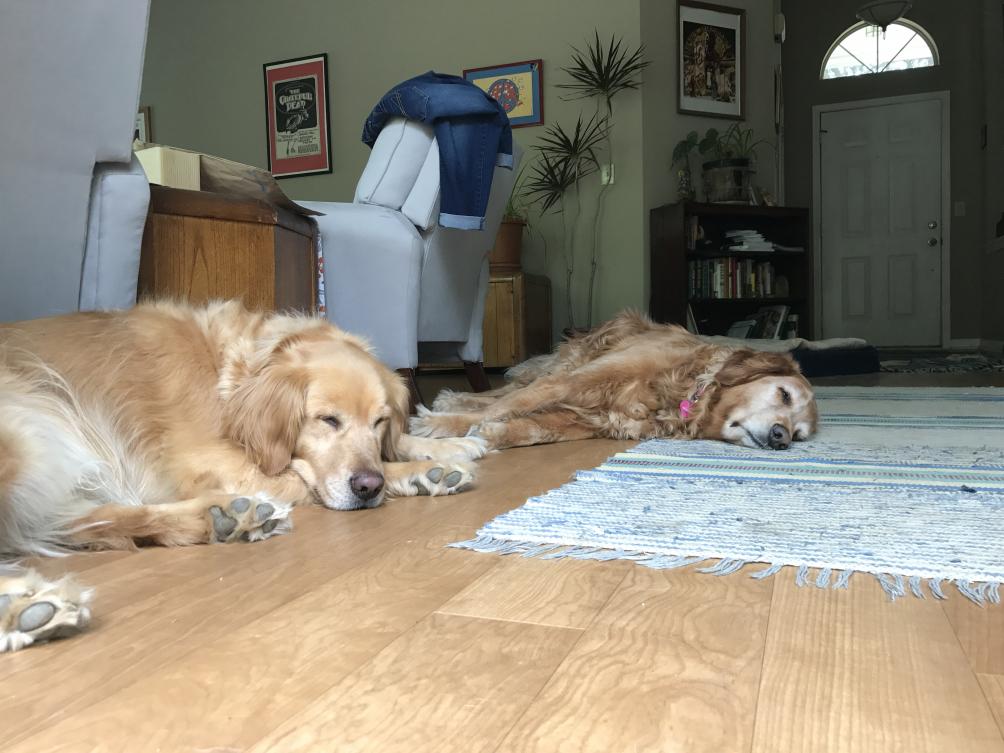 Name: IMG_0661.jpg
Views: 2129
Size: 91.5 KB