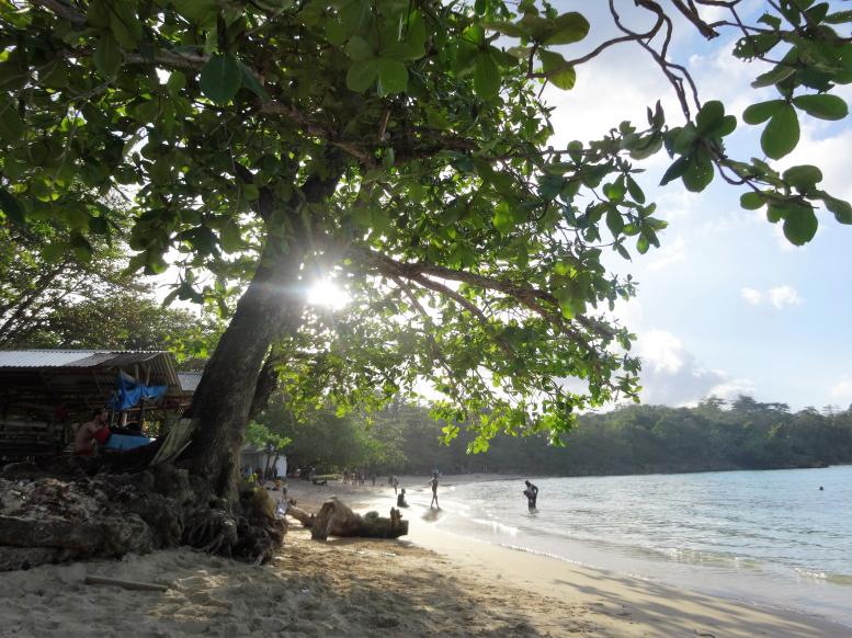 Name: DSC05837.jpg
Views: 4351
Size: 99.0 KB