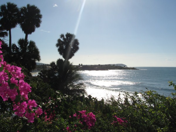 Name: Jamaica 2012 Frenchmans Bay Treasure Beach IMG_4332.jpg
Views: 1301
Size: 68.8 KB